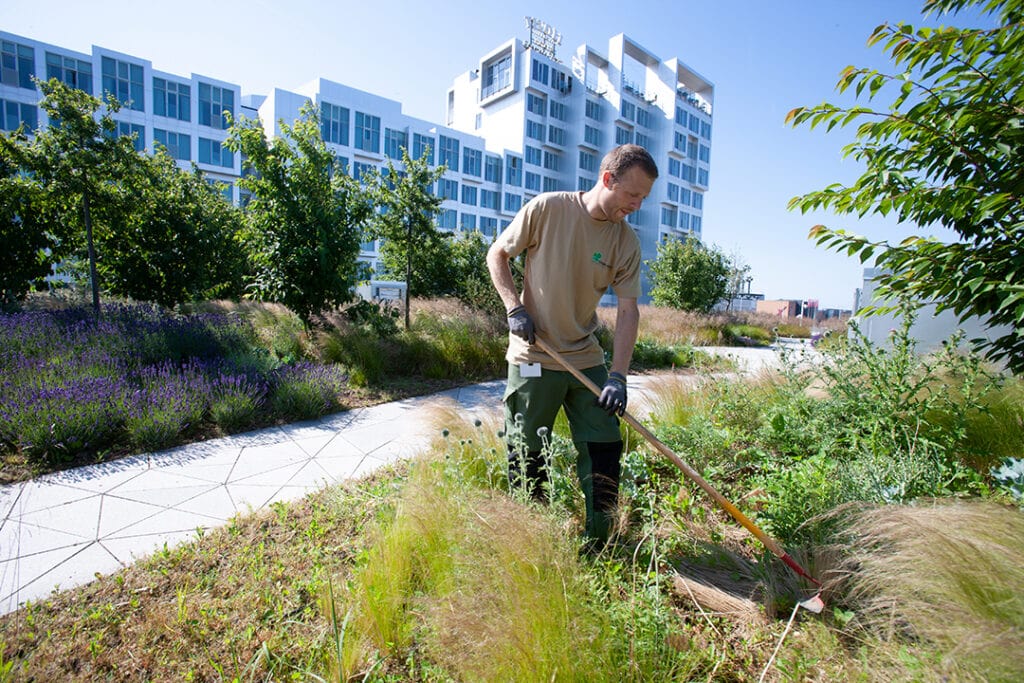 Grøn Vækst solgt til idverde